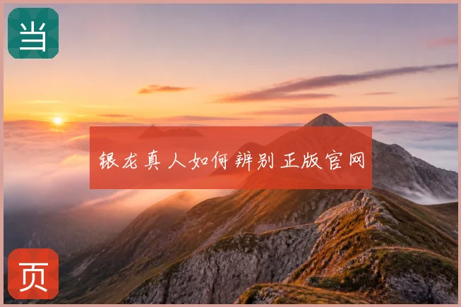 银龙真人如何辨别正版官网
