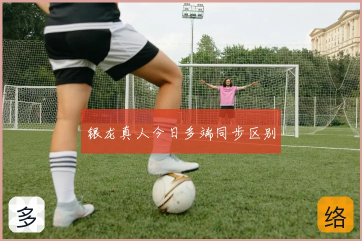 银龙真人今日多端同步区别